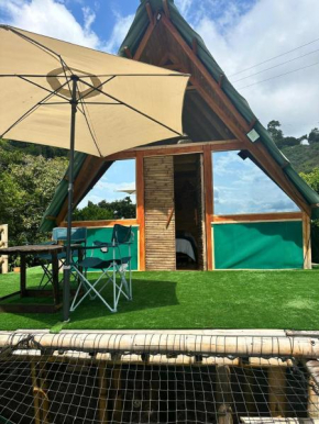 JUNGLAMP-Conexión con la naturaleza